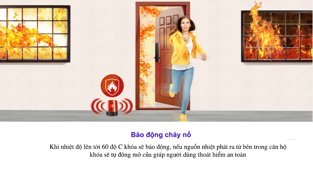 bao-dong-vegetarian-no